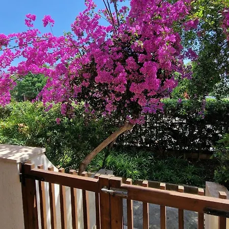 Europe Alguerhouse Apartment Alghero