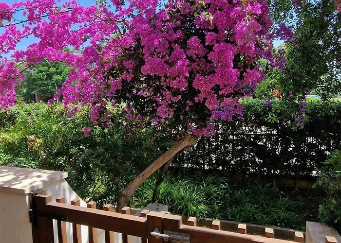 Europe Alguerhouse Appartement Alghero